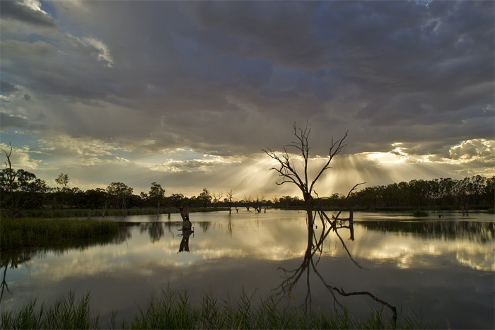 Sunrise Silhouette  by Paul Rohal
