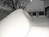 Theres a car under there!