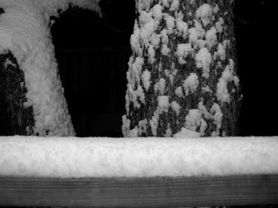 Finally, Some Snow!