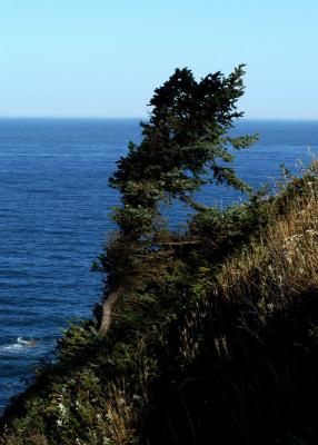 Foothold - Ecola Park