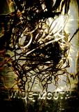 Winter Root Ball<br>Jan 21