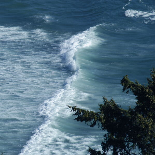 Wave