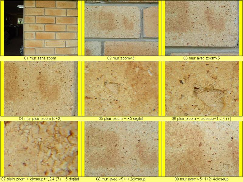 brique hoya closeup test