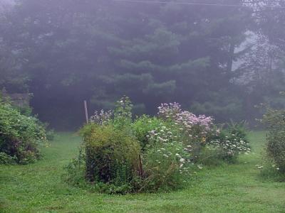 foggerie