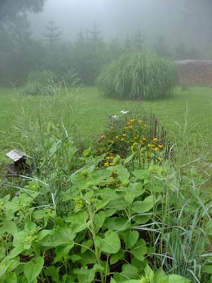 new border garden