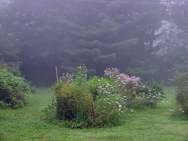 foggerie