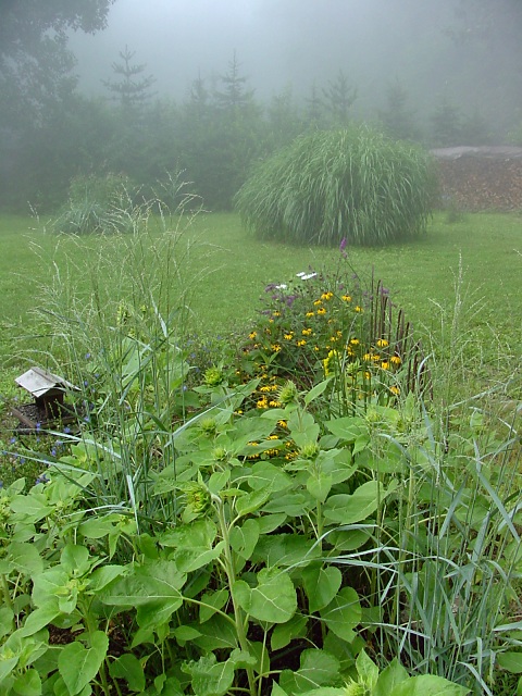 new border garden