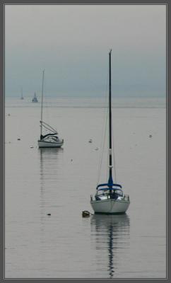 IMG_4695w2.jpg
