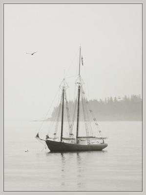 Acadia National Park, Maine