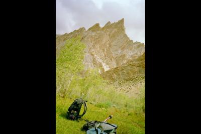u15/lisdale/medium/37537033.03IND_1_02aChangtangPlateauLadakhpbase.jpg
