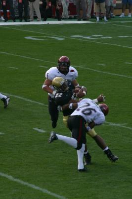 102-0204_IMG.JPG