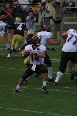 102-0231_IMG.jpg