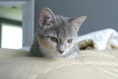 My baby girl!