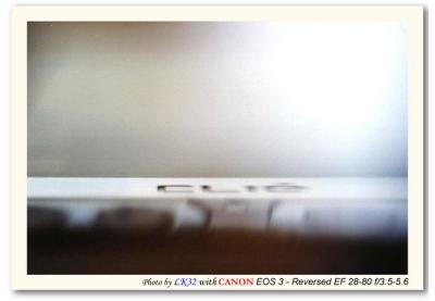 Macro 003.jpg