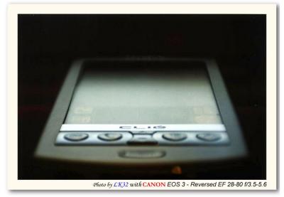 Macro 007.jpg