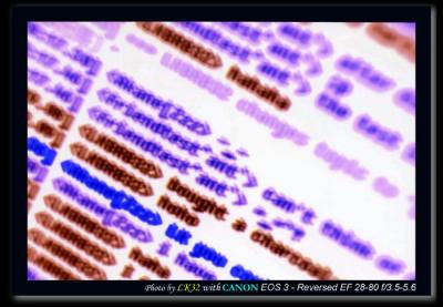 Invert Macro 000.jpg