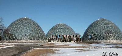 the_mitchell_domes