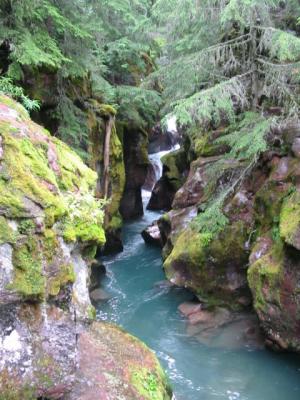 Avalanche Creek