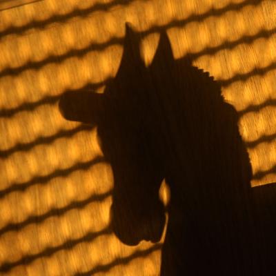 ombre cheval bascule.jpg