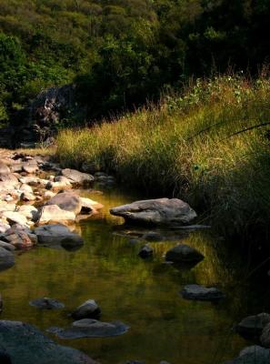 Plover cove hike