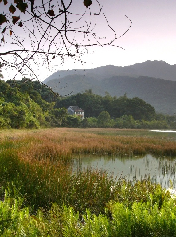 P50565.JPG