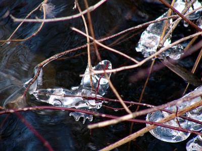 ice at the pond ~ January 17th