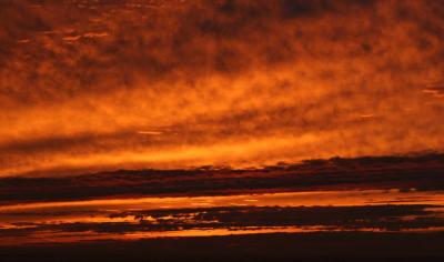 IMG_1477.jpg