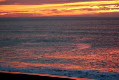 IMG_1486.jpg