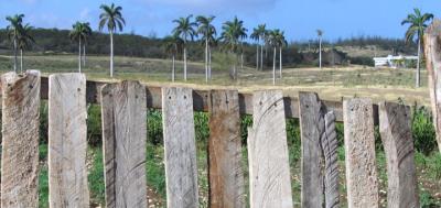 fence