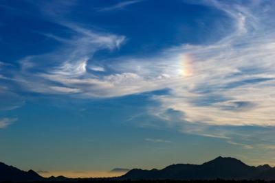 Arizona Sun Dog