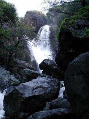 Salmon Creek Falls 2