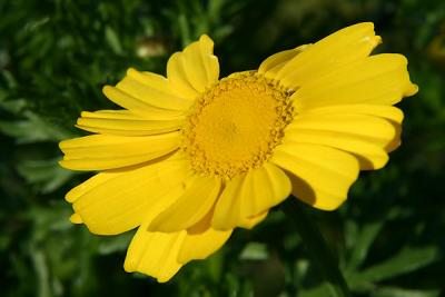 Img_8990 copy.jpg