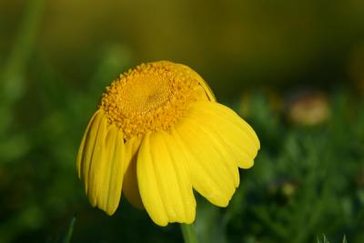 Img_8989 copy.jpg