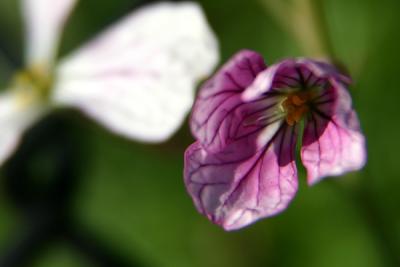 Img_8997 copy.jpg
