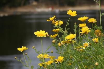 Img_9459 copy.jpg