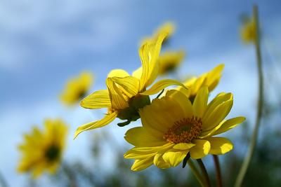 Img_9837 copy.jpg