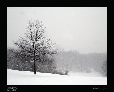 winter_calling001_800.jpg