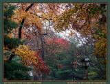 autumn arlington