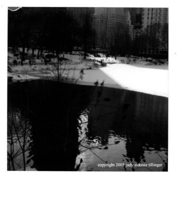 12.27.04 central park desaturated