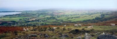 Ireland panorama
Carlingford area