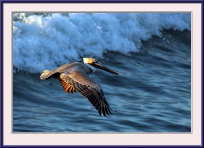 IMG_3538ps{Q}.jpg