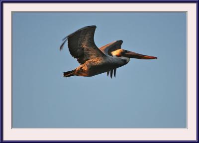 IMG_3834ps{Q}.jpg