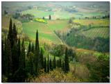 Landscape of Tuscany