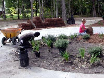 Landscapers Jeanne and Arthur arrange plants in the front circle