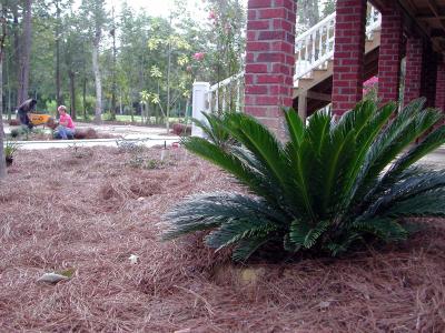 The front plantings are complete as work continues in the circle