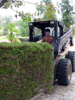 Beau delivers a pallet of grass  09/13/2002