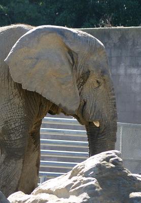 zoo0049R1WEB.jpg