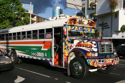 cool colorful buses