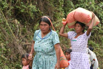 local women carrying goods