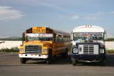 more cool colorful buses!